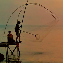 lake simcoe jumbo perch