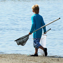 lake simcoe jumbo perch